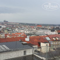 фото из отзыва ID 1494194