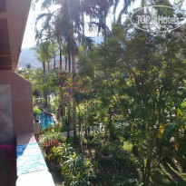 фото из отзыва ID 1494212