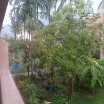 фото из отзыва ID 1494212