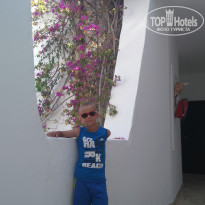 фото из отзыва ID 1494270