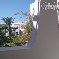 фото из отзыва ID 1494270