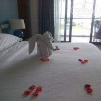 фото из отзыва ID 1494278