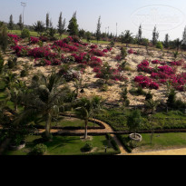 фото из отзыва ID 1494282