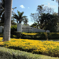 фото из отзыва ID 1494329