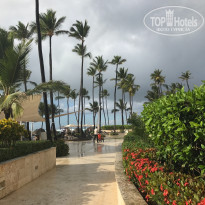 фото из отзыва ID 1492880