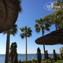 фото из отзыва ID 1494377