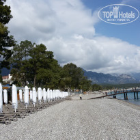 фото из отзыва ID 1494382