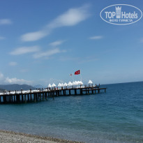 фото из отзыва ID 1494382