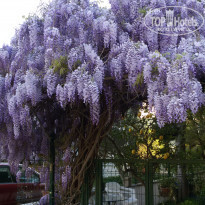 фото из отзыва ID 1494382