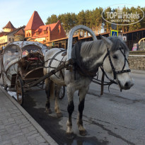 фото из отзыва ID 1491441