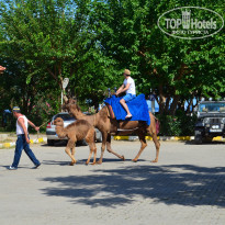 фото из отзыва ID 1494592