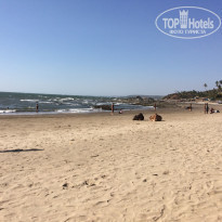 фото из отзыва ID 1494612