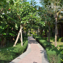 фото из отзыва ID 1494635