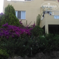 фото из отзыва ID 1494925