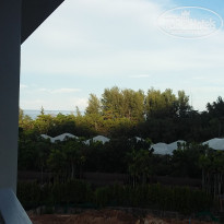 фото из отзыва ID 1494934