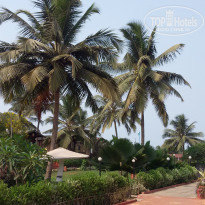 фото из отзыва ID 1495176