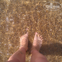 фото из отзыва ID 1495185