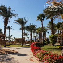 фото из отзыва ID 1495228