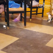 фото из отзыва ID 1495284