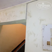 фото из отзыва ID 1495284