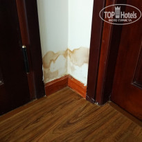 фото из отзыва ID 1495328