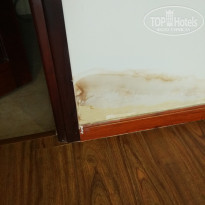 фото из отзыва ID 1495328