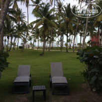 фото из отзыва ID 1495372