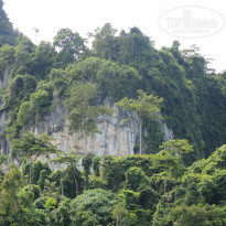 фото из отзыва ID 1495341