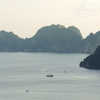 фото из отзыва ID 1495341