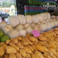 фото из отзыва ID 1495470