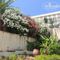 фото из отзыва ID 1495477