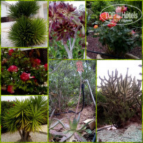 фото из отзыва ID 1495559