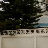 фото из отзыва ID 1495559