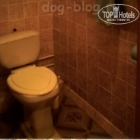 фото из отзыва ID 1495560