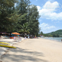 фото из отзыва ID 1495611