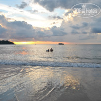 фото из отзыва ID 1495611