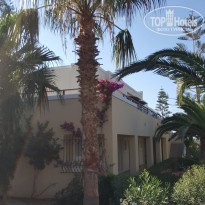 фото из отзыва ID 1491956