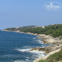 фото из отзыва ID 1495652