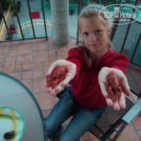 фото из отзыва ID 1495675