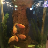 фото из отзыва ID 1495701