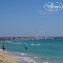 фото из отзыва ID 1495768