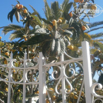 фото из отзыва ID 1495771