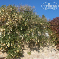 фото из отзыва ID 1495771