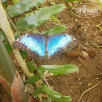 фото из отзыва ID 1495771