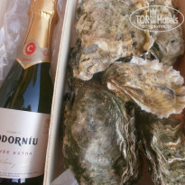 фото из отзыва ID 1495771