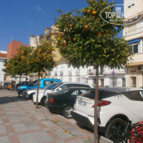 фото из отзыва ID 1495771