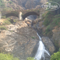 фото из отзыва ID 1495822