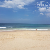 фото из отзыва ID 1495867