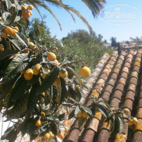 фото из отзыва ID 1495771