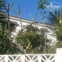 фото из отзыва ID 1495771